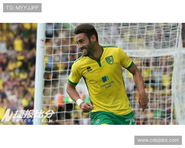 诺维奇卡罗路球场近期使用情况与维护动态