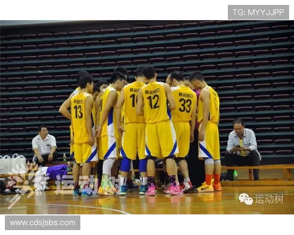 争议球判定全解析：跳球与交替拥有规则如何执行